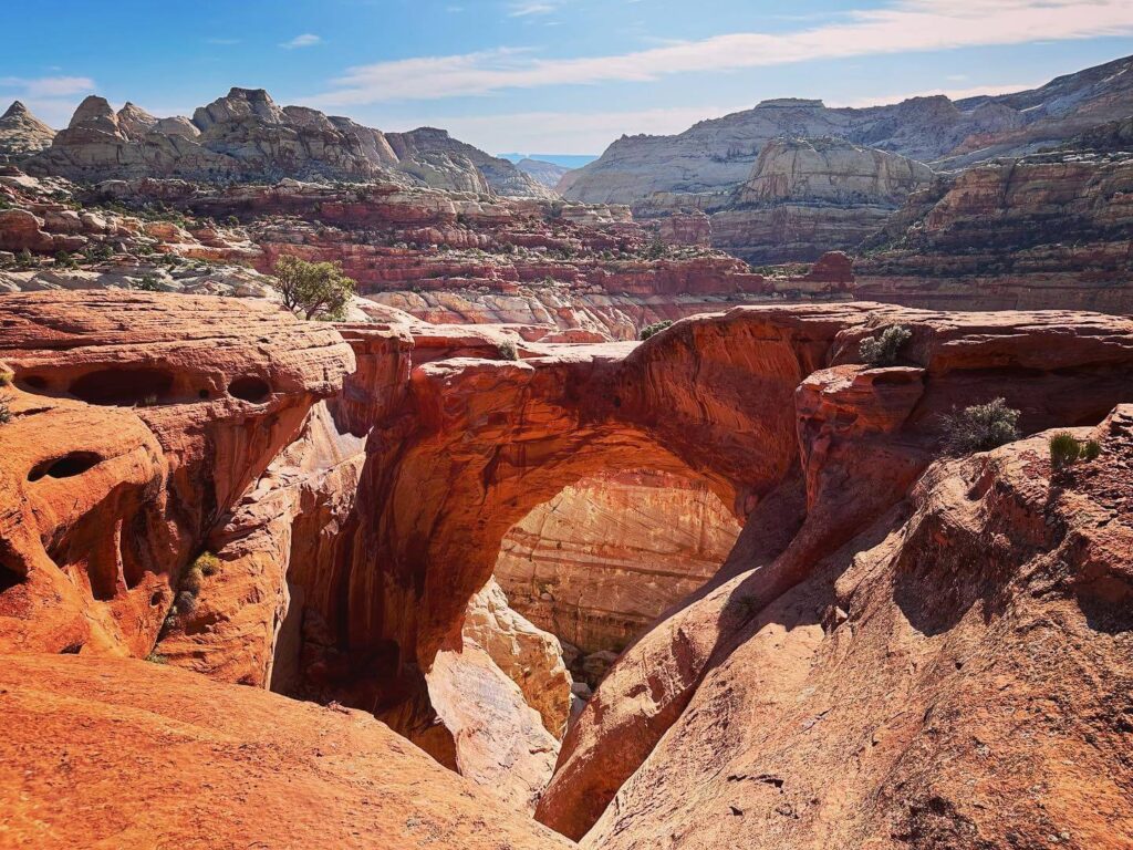 Cassidy Arch