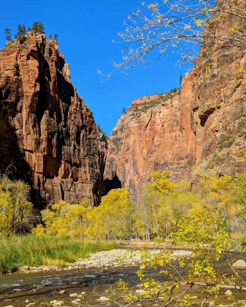 Court of the Patriarchs, Zion
