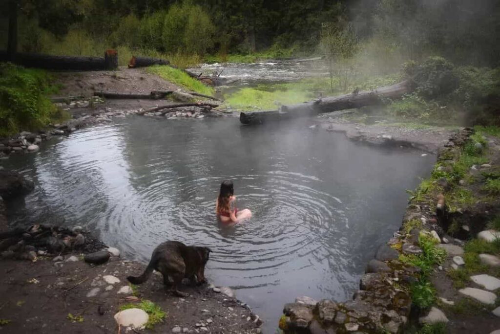 McCredie Hot Springs