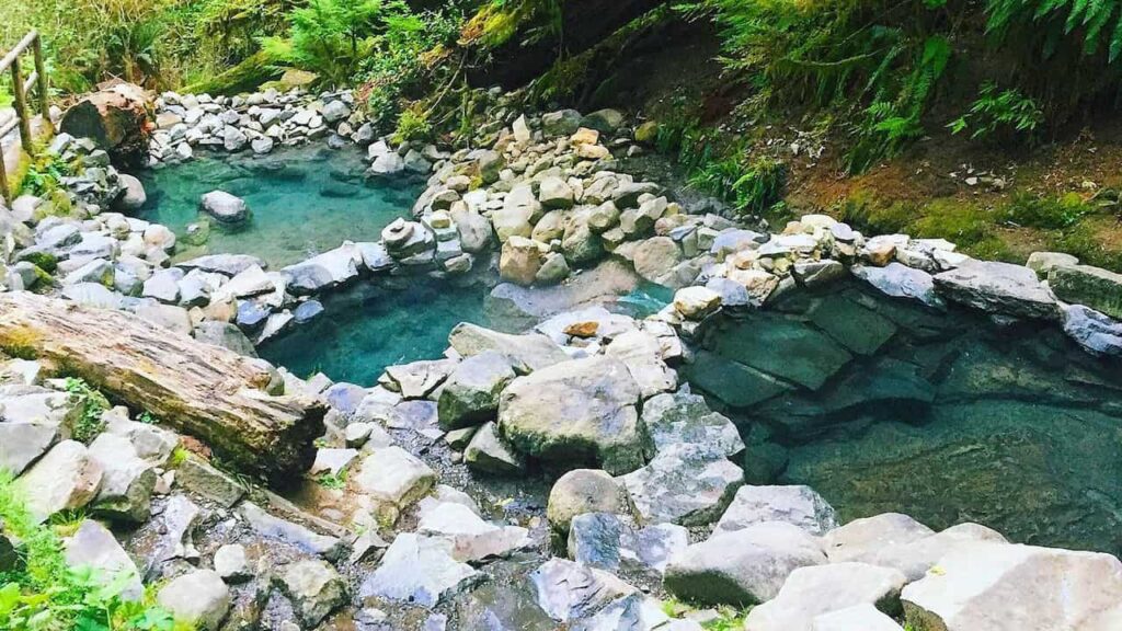 cougar hot springs