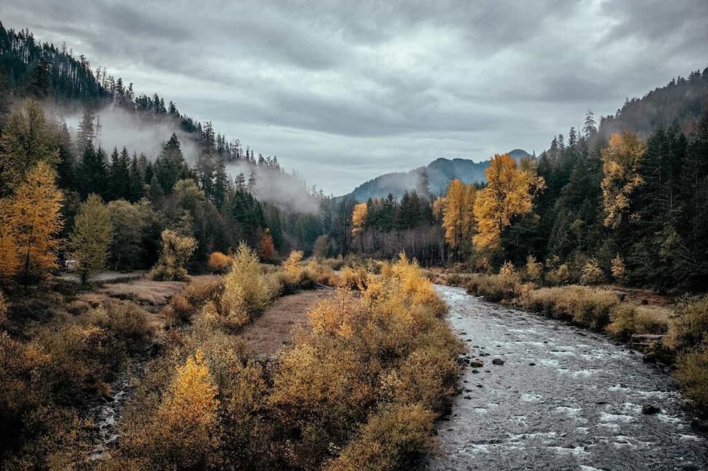 cougar hot springs hike