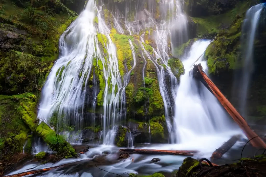 Panther Creek Falls