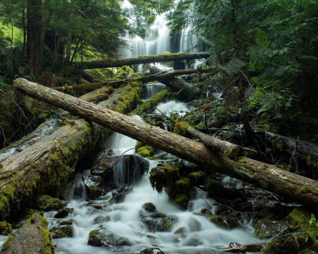 Upper Proxy Falls