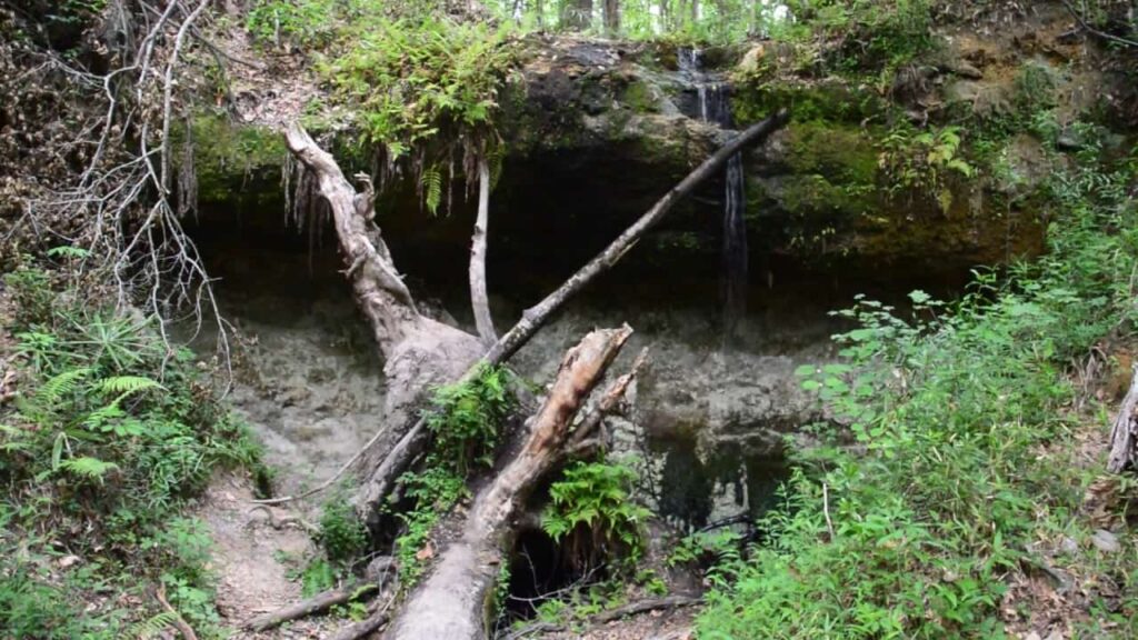 Weeping Ridge Trail